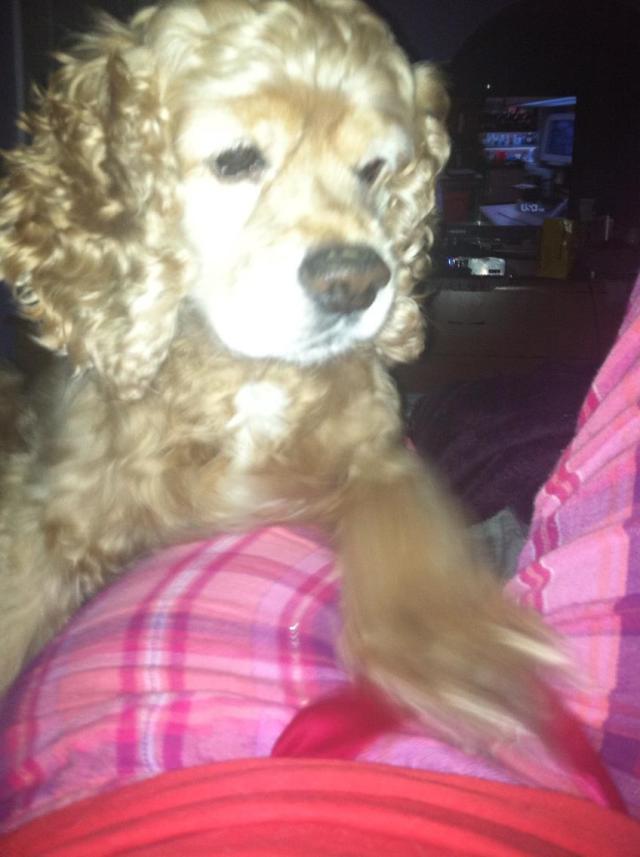 622858_1976292378250_1009200570_o